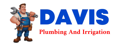 Trusted plumber in LOZANO